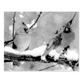 kardinalen voor mannetjes en vrouwen rubberstempel (Afrduk)