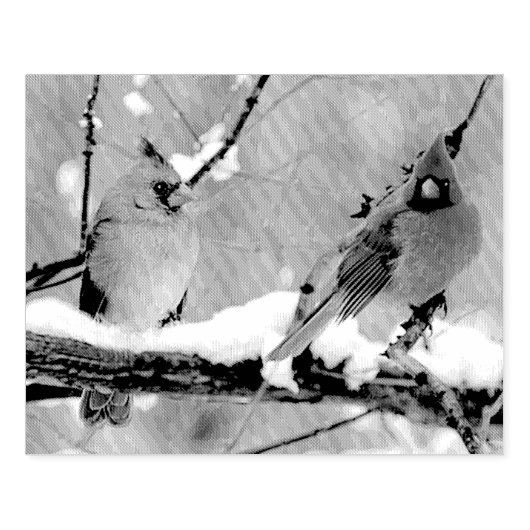 kardinalen voor mannetjes en vrouwen rubberstempel (Afrduk)