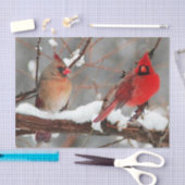 kardinalen voor mannetjes en vrouwen tissuepapier (Craft)