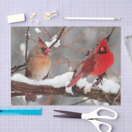 kardinalen voor mannetjes en vrouwen tissuepapier (Craft)