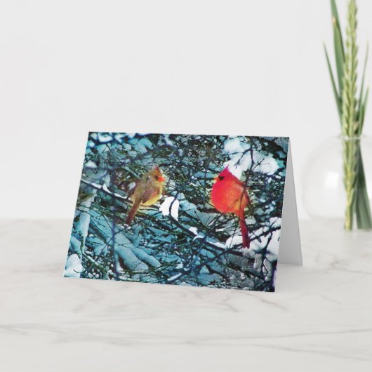 Kardinalen, winterliefde, kaarten (Voorkant)