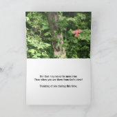 Kardinalen zijn in de buurt van Angels Verschijnen Kaart (Binnen)