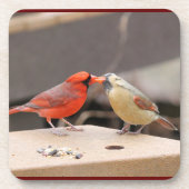 Kardinalen zoenen bier onderzetter (Voorkant)