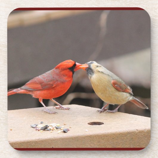 Kardinalen zoenen bier onderzetter (Voorkant)