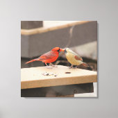 Kardinalen zoenen canvas afdruk (Voorkant)