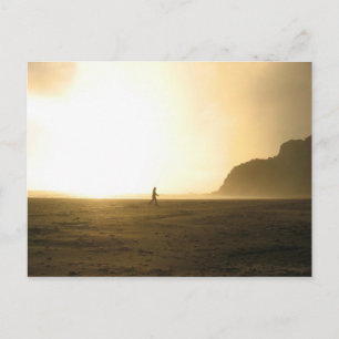 Karekare Beach - Auckland, Nieuw-Zeeland Briefkaart