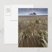 Karekare Beach | Panatahi Island, westkust Briefkaart (Voorkant / Achterkant)