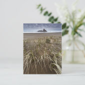 Karekare Beach | Panatahi Island, westkust Briefkaart (Staand voorkant)