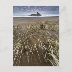 Karekare Beach   Panatahi Island, westkust Briefkaart