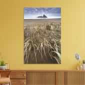 Karekare Beach | Panatahi Island, westkust Canvas Afdruk (Insitu (Woonkamer))