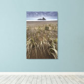 Karekare Beach | Panatahi Island, westkust Canvas Afdruk (Insitu (Houten vloer))