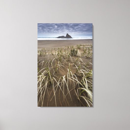 Karekare Beach | Panatahi Island, westkust Canvas Afdruk (Voorkant)