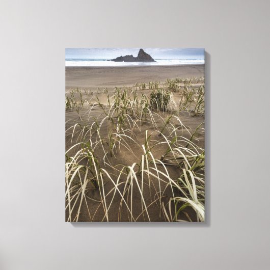 Karekare Beach | Panatahi Island, westkust Canvas Afdruk (Voorkant)