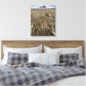Karekare Beach | Panatahi Island, westkust Canvas Afdruk (Insitu (Slaapkamer))