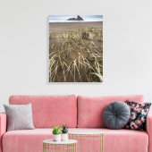 Karekare Beach | Panatahi Island, westkust Canvas Afdruk (Insitu (Woonkamer))