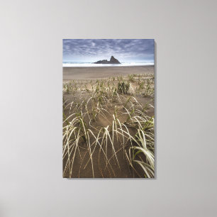 Karekare Beach   Panatahi Island, westkust Canvas Afdruk