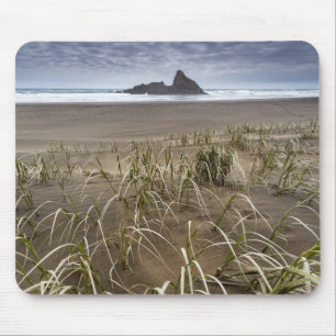 Karekare Beach Panatahi Island, westkust Muismat