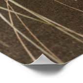 Karekare Beach | Panatahi Island, westkust Poster (Hoek)