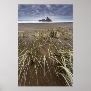 Karekare Beach   Panatahi Island, westkust Poster