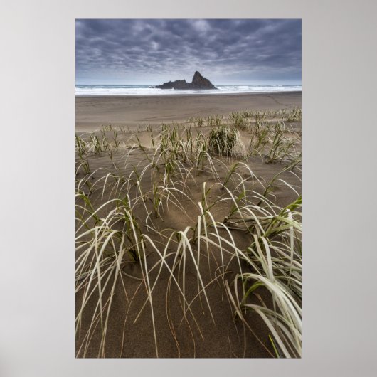 Karekare Beach | Panatahi Island, westkust Poster (Voorkant)