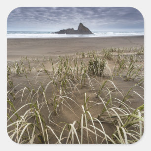 Karekare Beach   Panatahi Island, westkust Vierkante Sticker