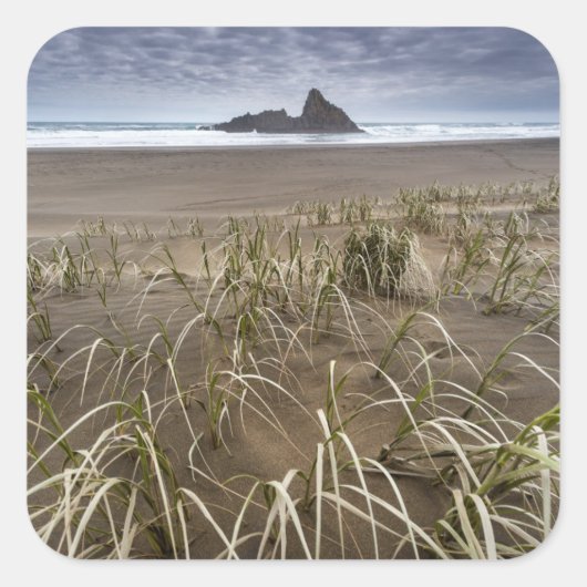 Karekare Beach | Panatahi Island, westkust Vierkante Sticker (Voorkant)