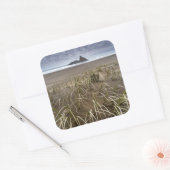 Karekare Beach | Panatahi Island, westkust Vierkante Sticker (Envelop)