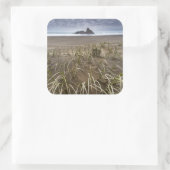 Karekare Beach | Panatahi Island, westkust Vierkante Sticker (Tas)