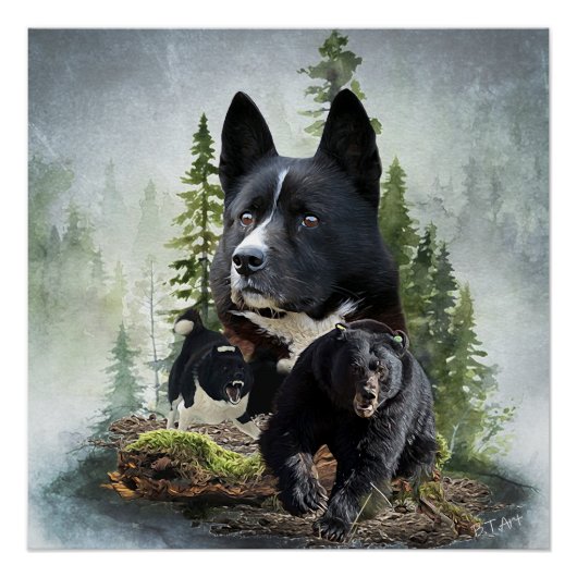 Karelian Beer Dog Perfect Poster (Voorkant)