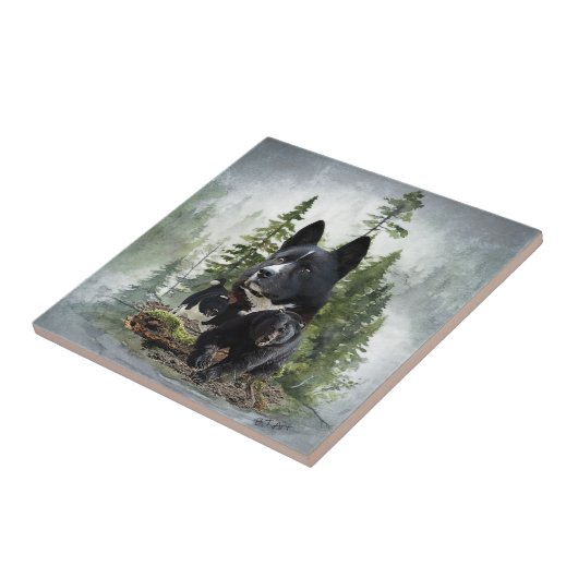 Karelian Beer Dog Tegeltje (Zijkant)