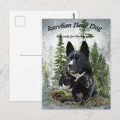 Karelische berenhond     briefkaart (Voorkant / Achterkant)