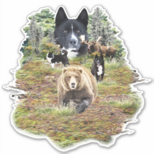 Karelische berenhond sticker