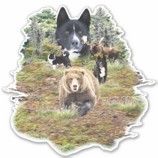 Karelische berenhond sticker (Voorkant)