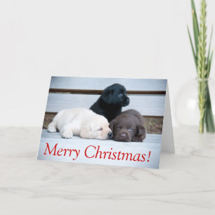 Karemy Puppy Christmas Card Feestdagen Kaart