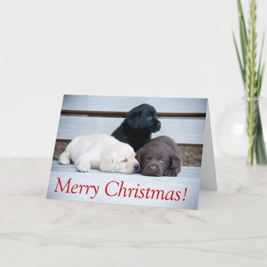 Karemy Puppy Christmas Card Feestdagen Kaart (Voorkant)