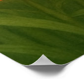 Karen Ann Baker-Taylor Tribute Poster (Hoek)