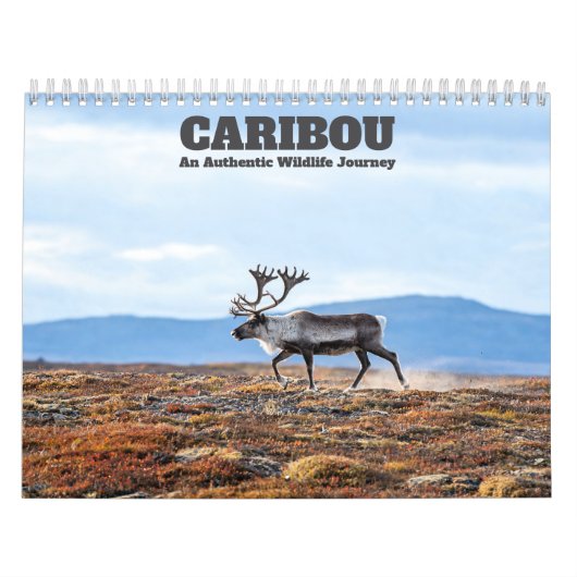Kariboe 2027 Muurkalender Kalender (Hoes)