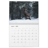 Kariboe 2027 Muurkalender Kalender (Mar 2027)