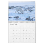 Kariboe 2027 Muurkalender Kalender (Jan 2027)