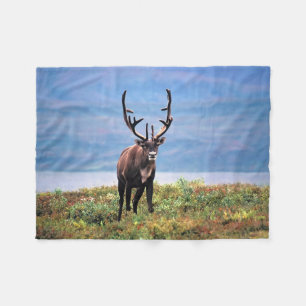 Kariboe of Rendier   Denali National Park, Alaska Fleece Deken