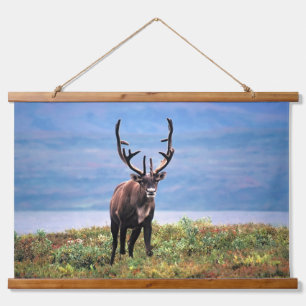 Kariboe of Rendier   Denali National Park, Alaska Hangend Wandkleed