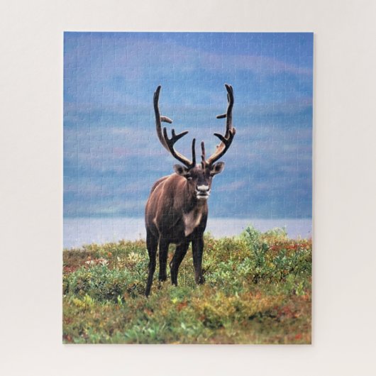 Kariboe of Rendier | Denali National Park, Alaska Legpuzzel (Verticaal)