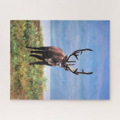 Kariboe of Rendier | Denali National Park, Alaska Legpuzzel (Horizontaal)