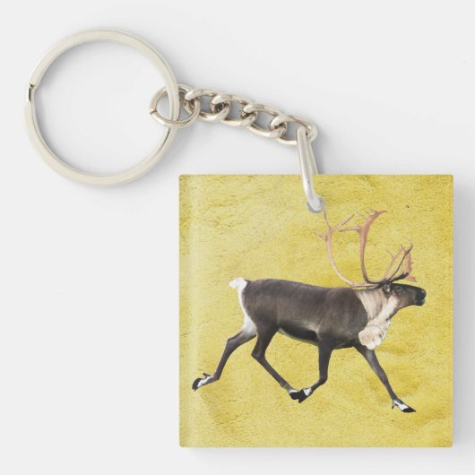 Kariboe (Rangifer tarandus) Sleutelhanger (Voorkant)
