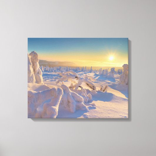 Karkonosze-gebergte, Nationaal Park Canvas Afdruk (Voorkant)