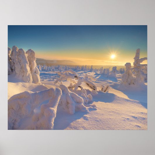 Karkonosze-gebergte, Nationaal Park Poster (Voorkant)