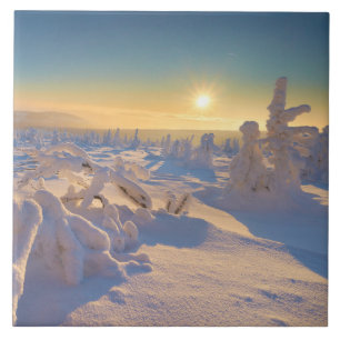 Karkonosze-gebergte, Nationaal Park Tegeltje