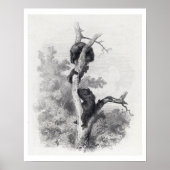 Karl Bodmer, Les Ours (Beren) Poster (Voorkant)