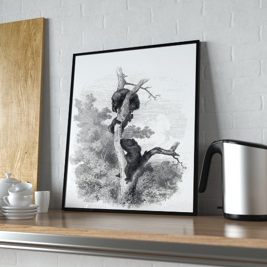 Karl Bodmer, Les Ours (Beren) Poster