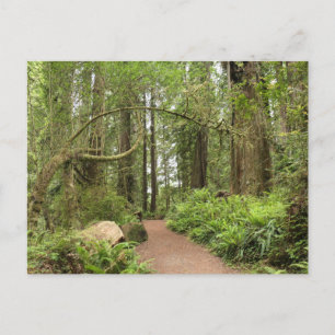 Karl Knapp Trail Briefkaart